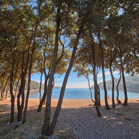 Holiday Home Liberta Krnica Dış mekan fotoğraf