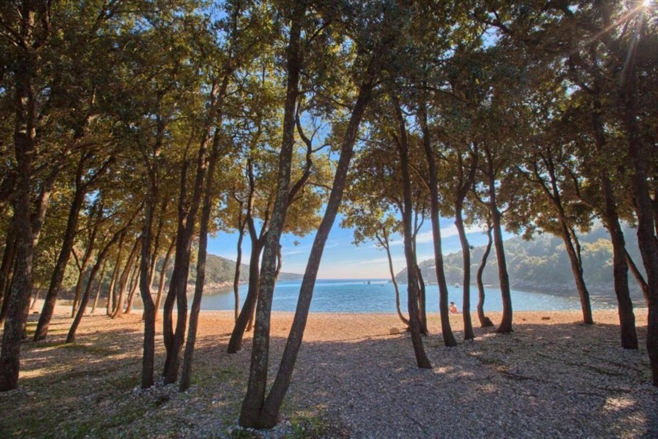 Holiday Home Liberta Krnica Dış mekan fotoğraf